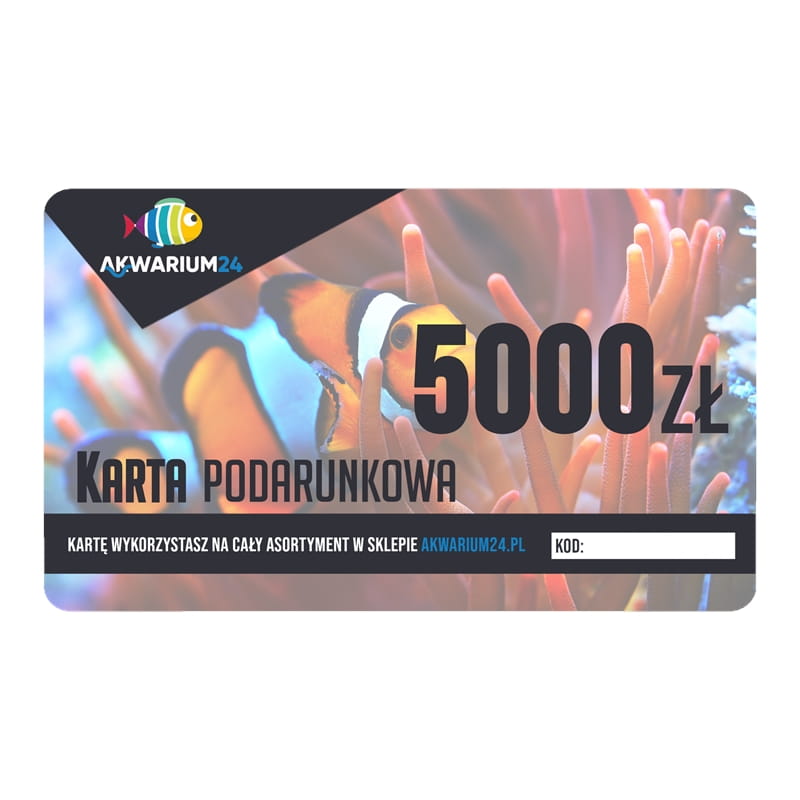 karta podarunkowa 5000ZŁ  (Copy).jpg